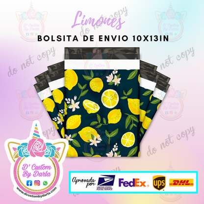 Paquete de 100 bolsas de envio 10x13in)